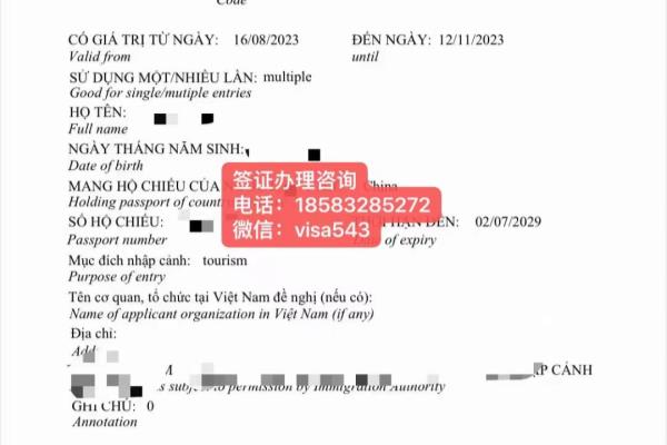 越南网上签证怎么操作流程图.