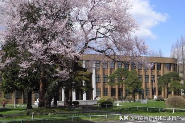 在日本上大学对中国留学生的要求是什么意思.