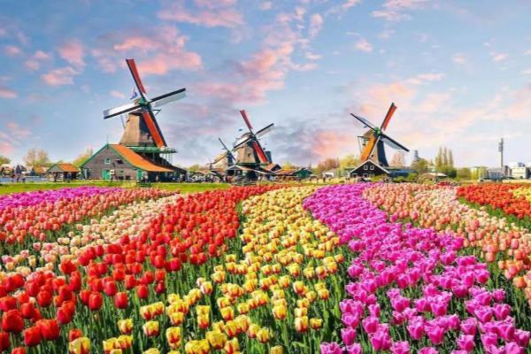 荷兰留学移民新政策2022（荷兰移民项目）.